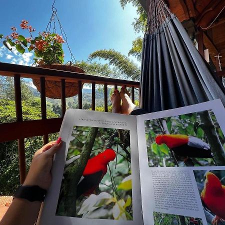 El Cielo Jardin Hotel Eksteriør billede